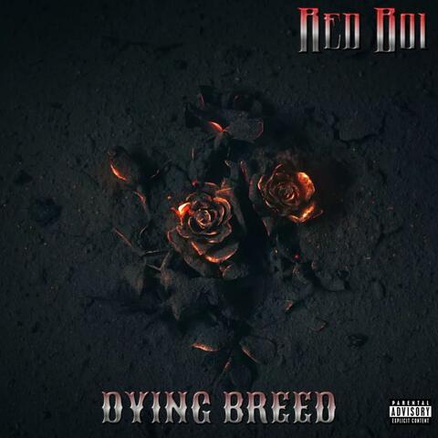 Dying breed