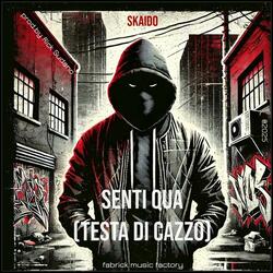 Senti qua (testa di cazzo) (feat. SKAIDO)
