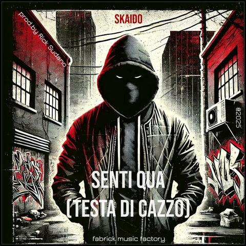 Senti qua (testa di cazzo) (feat. SKAIDO)