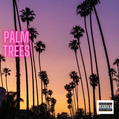 palm trees