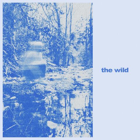 the wild
