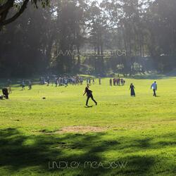 Lindley Meadow