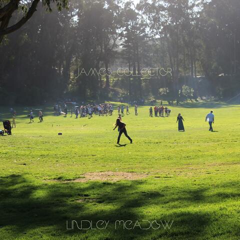 Lindley Meadow