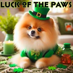 The Shamrock Shuffle