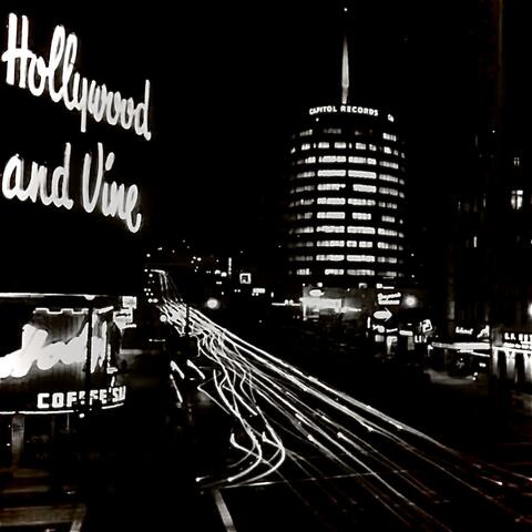 Hollywood Nights