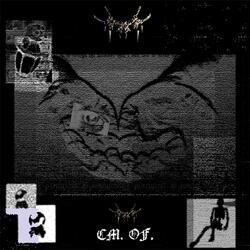 decompose (Instrumental)