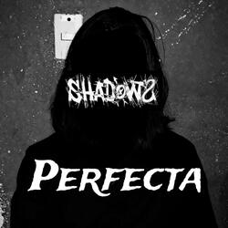 Perfecta