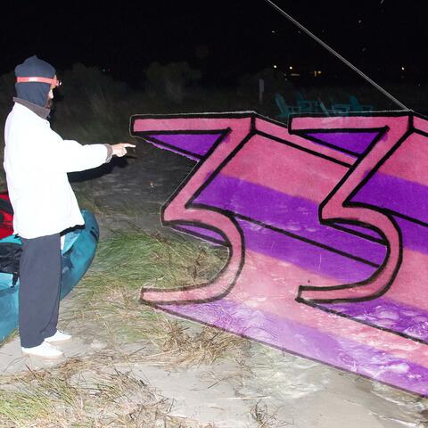 33