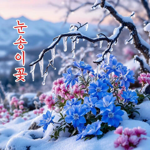 눈송이 꽃