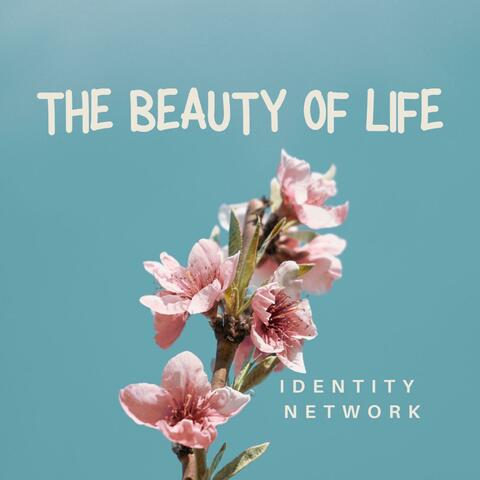 The Beauty of Life