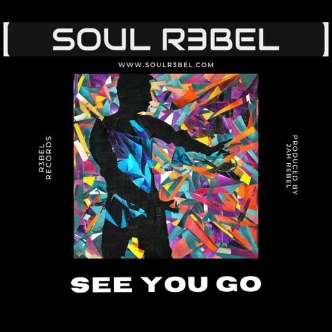 See You Go