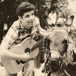 'U figghiu du mastru pettinaru (1953)