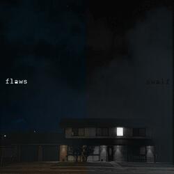 flaws