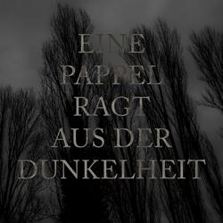Eine Pappel ragt aus der Dunkelheit