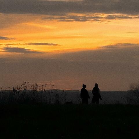 The Last Goodbye