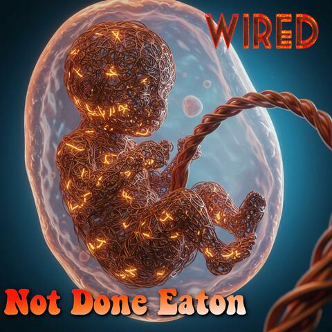 Wired