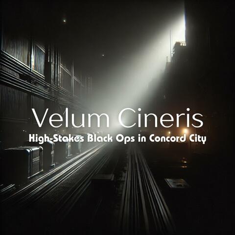 High-Stakes Black Ops in Concord City