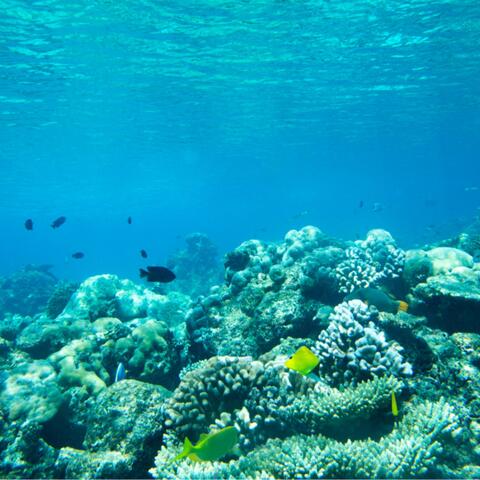 Water World (Radio Edit)
