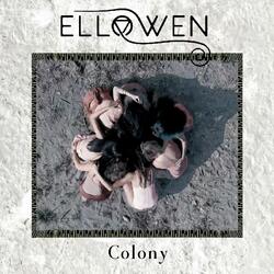 Colony