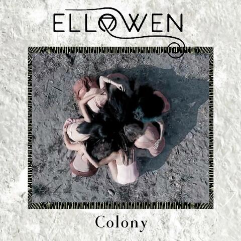 Colony