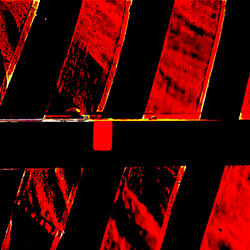 Same Time, Different Life