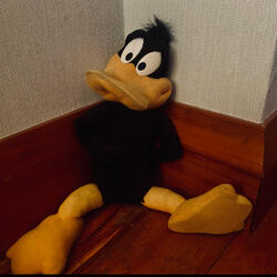 want to die, suicide