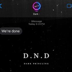 D.N.D (feat. Alextrendz)