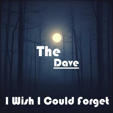 I Wish I Could Forget