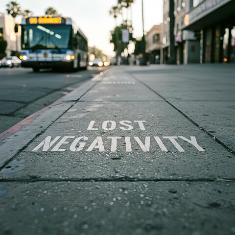 Lost Negativity