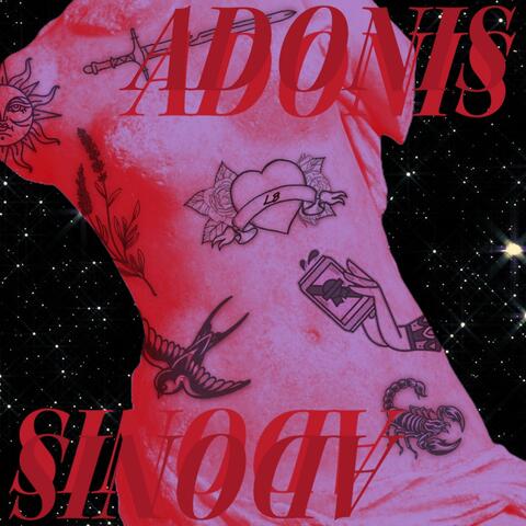 Adonis