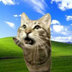 Windows XP Installation Music (meowsynth remix)
