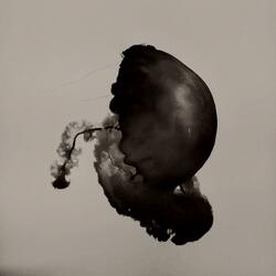 Slow Down (Origen aka Will Stanton Remix)