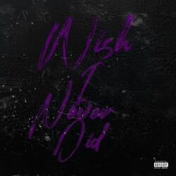 Wish I Never Did (feat. Jayoah!)
