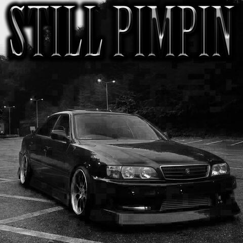 STILL PIMPIN
