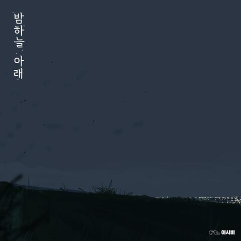 밤하늘 아래
