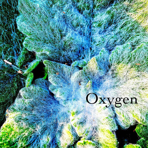 Oxygen
