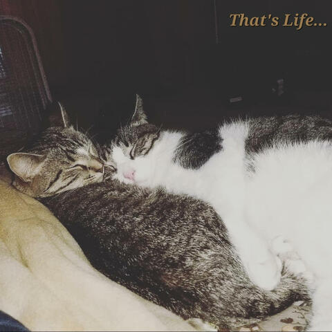 That's Life...