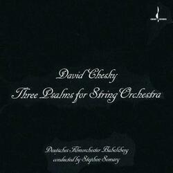 Psalm No.3 for String Orchestra