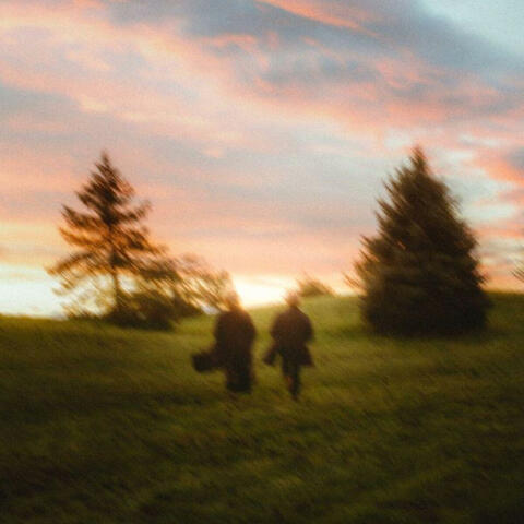 Falling Into Dawn