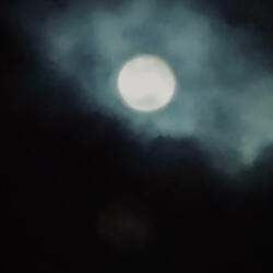 Confusión De Sentimientos