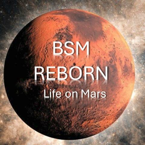 Life on Mars