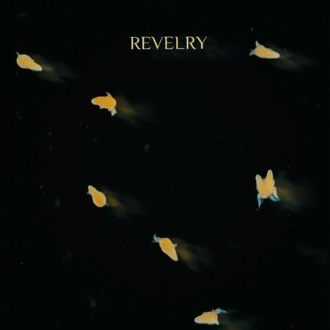 Revelry