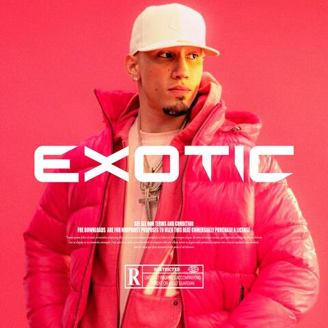Exotic Beat De Reggaeton
