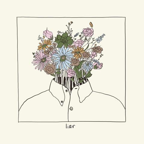 Liar
