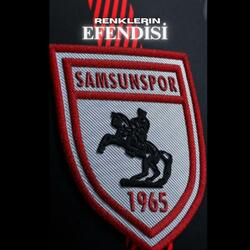 Renklerin Efendisi