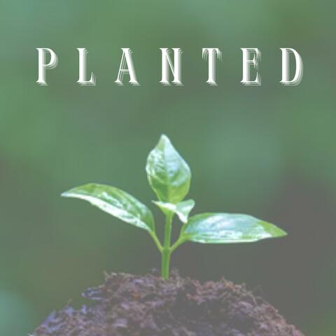 Planted