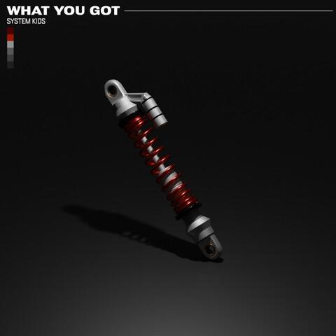 What You Got
