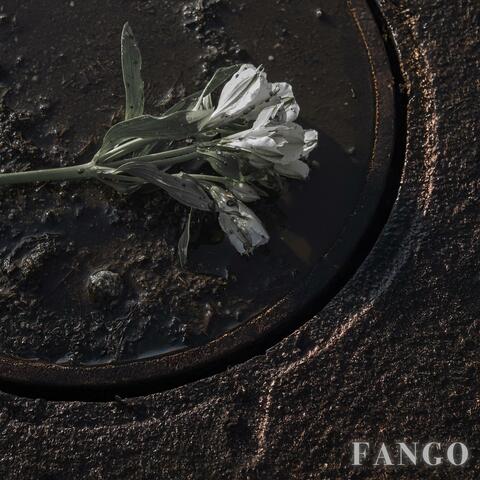 FANGO FREESTYLE