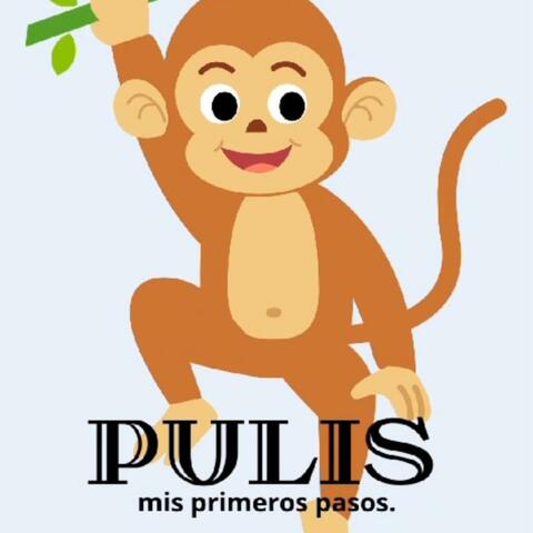 Mis primeros pasos