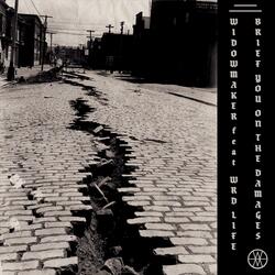 Brief You on the Damages (feat. WRD Life)